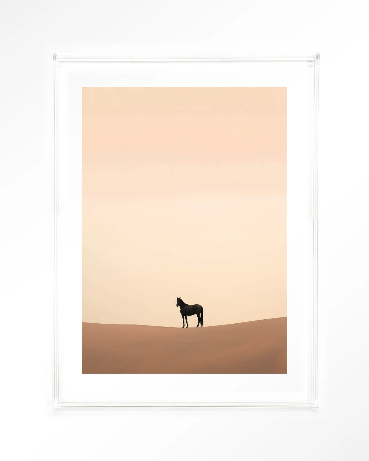 Desert Horse – paard in woestijn – Art print – Acryl doorzichtig