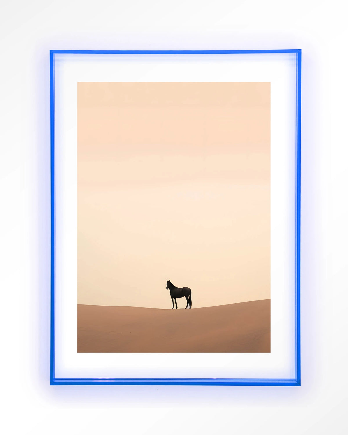 Desert Horse – paard in woestijn – Art print – Acryl lichtblauw