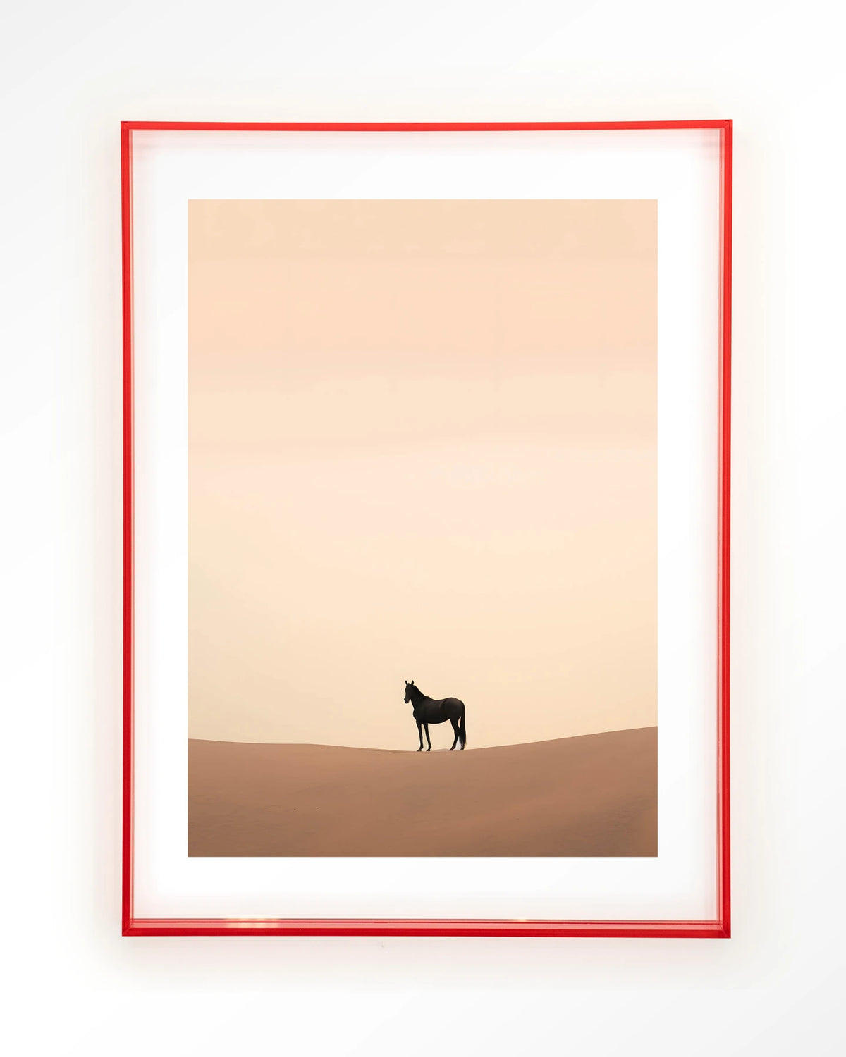 Desert Horse – paard in woestijn – Art print – Acryl roze