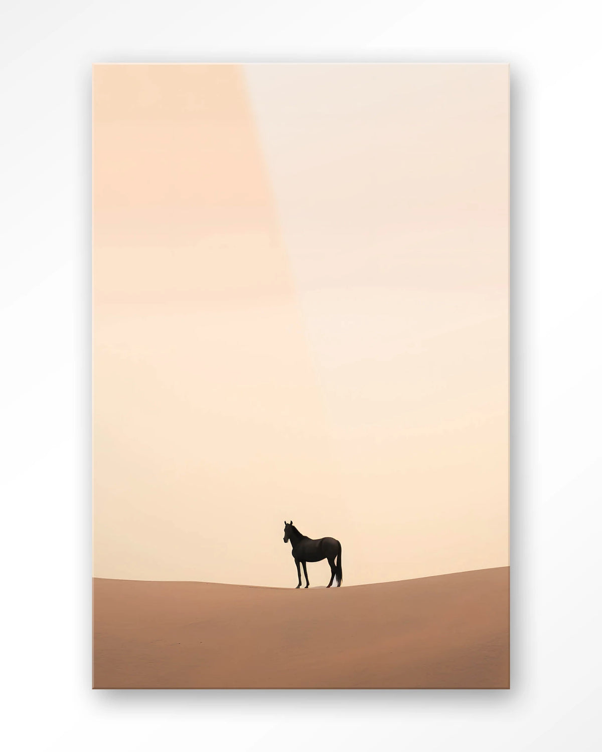 Desert Horse – paard in woestijn – Glas – Blinde montage