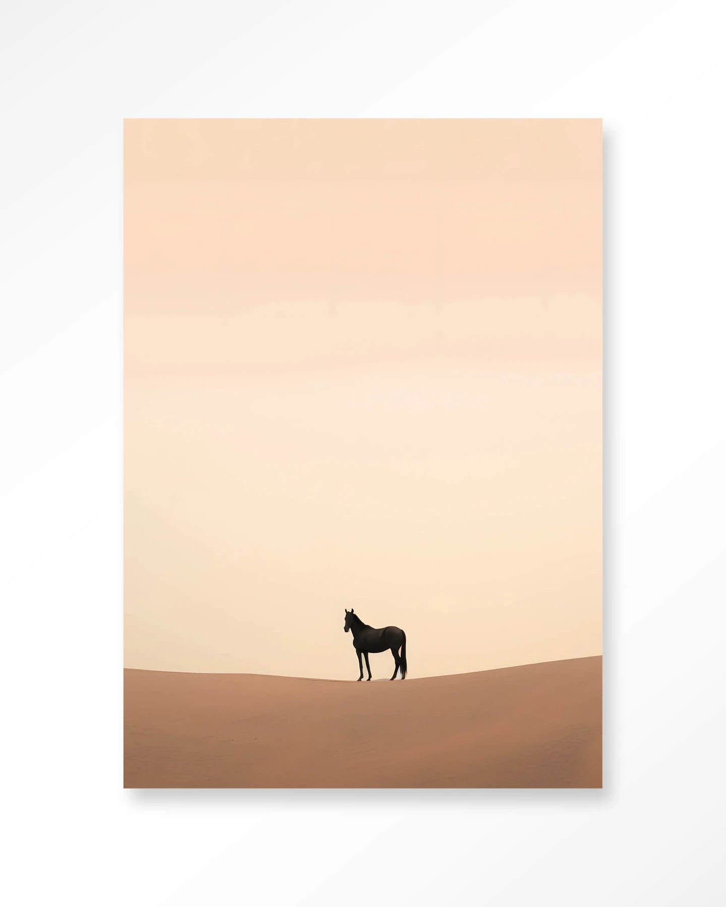 Desert Horse – Wandkleed