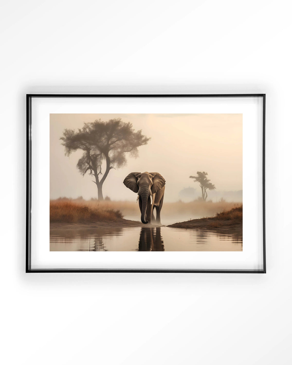 Savannah Elephant – olifant in de savanne – Art print – Acryl zwart