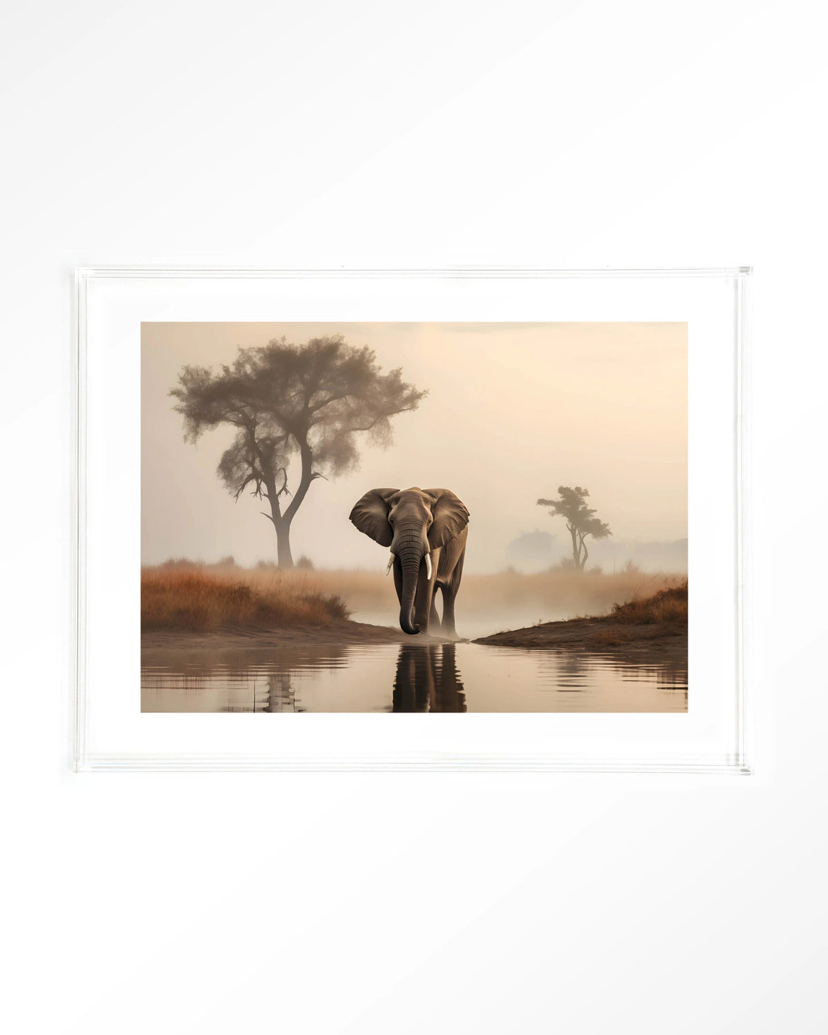 Savannah Elephant – olifant in de savanne – Art print – Acryl doorzichtig