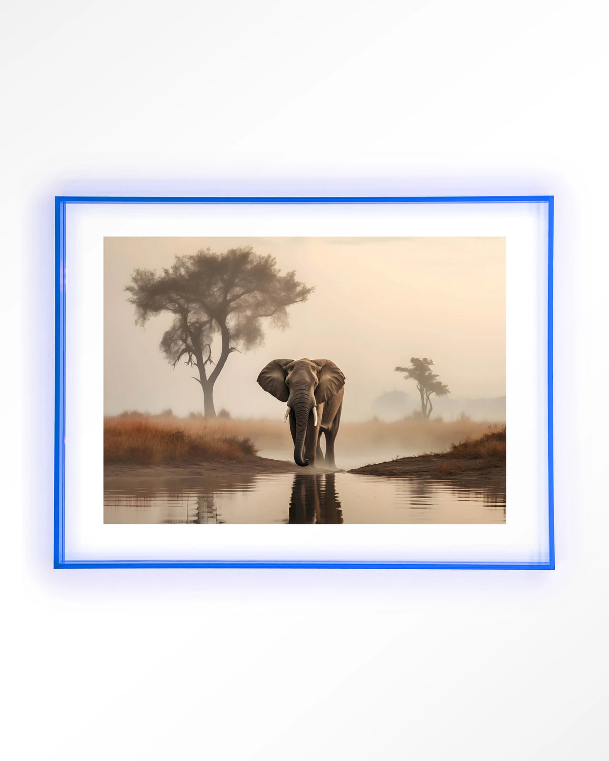 Savannah Elephant – olifant in de savanne – Art print – Acryl lichtblauw
