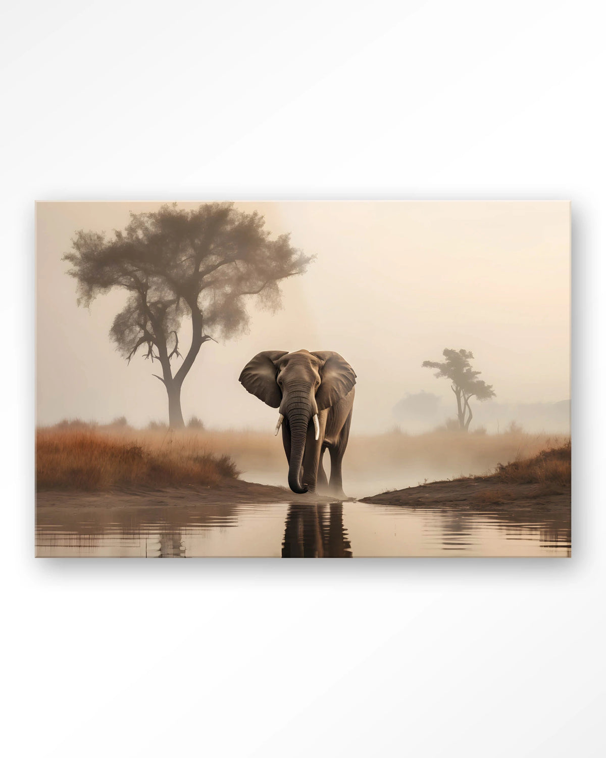 Savannah Elephant – olifant in de savanne – Glas – Blinde montage