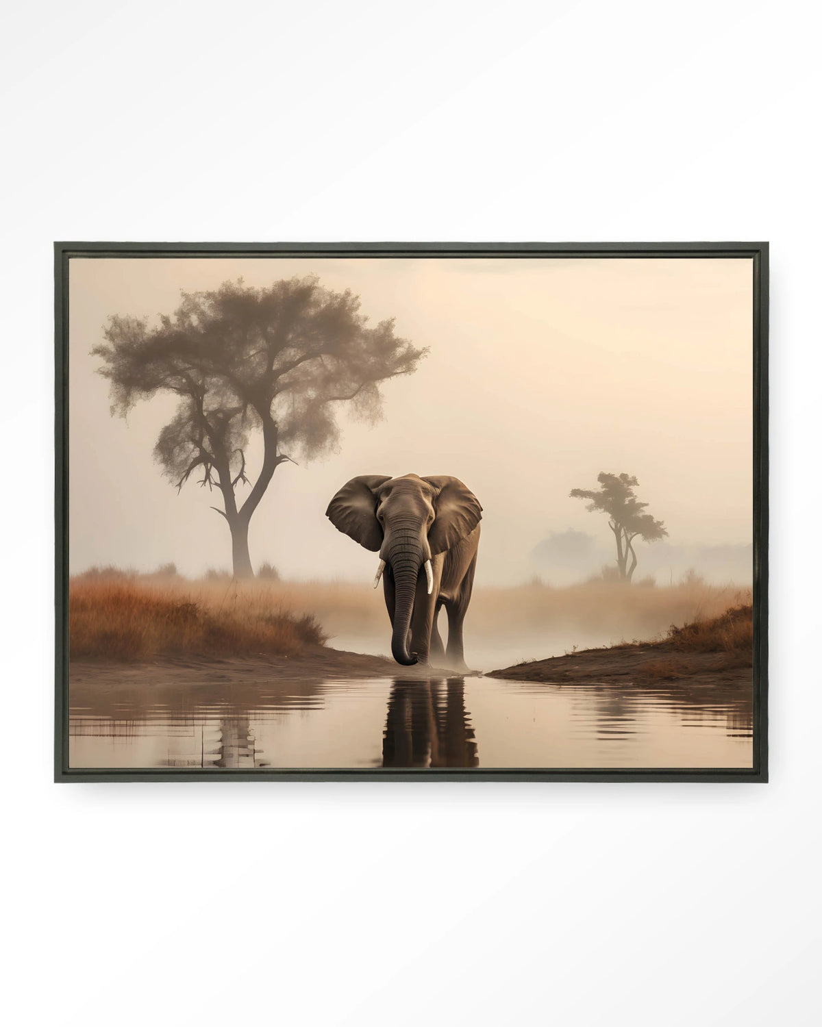 Savannah Elephant – olifant in de savanne – Wandkleed – Floating frame – zwart