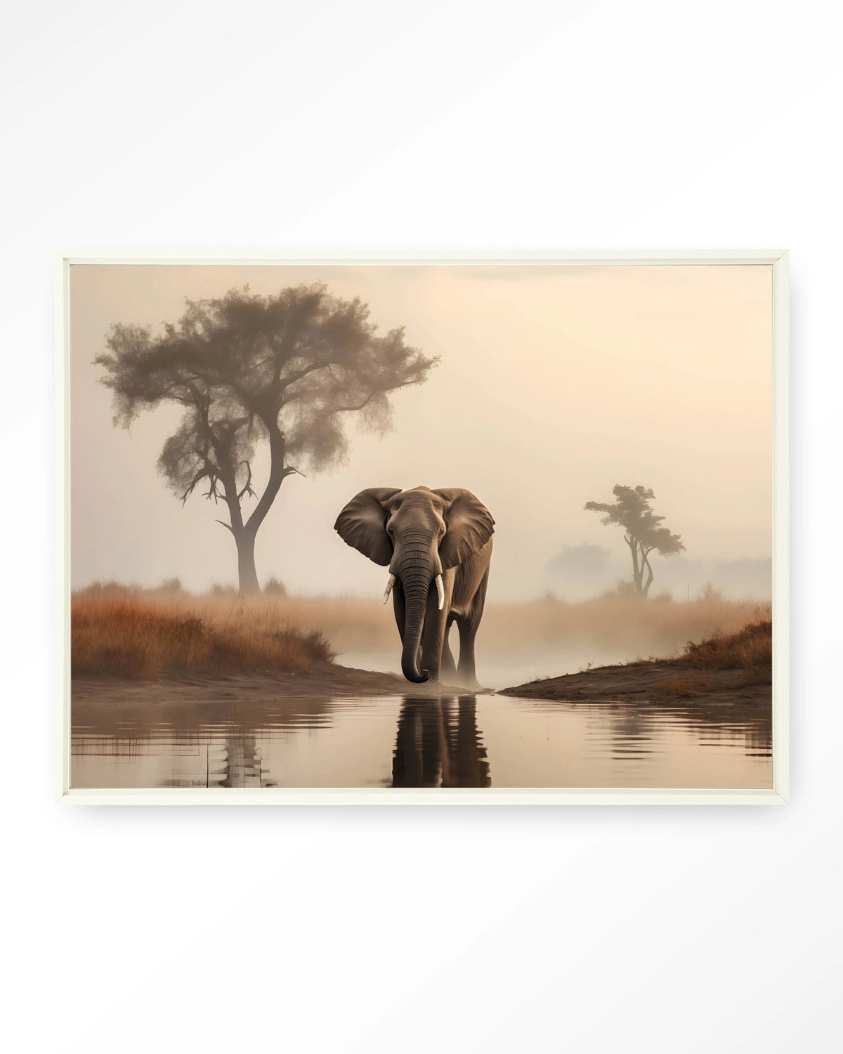 Savannah Elephant – olifant in de savanne – Wandkleed – Floating frame – wit