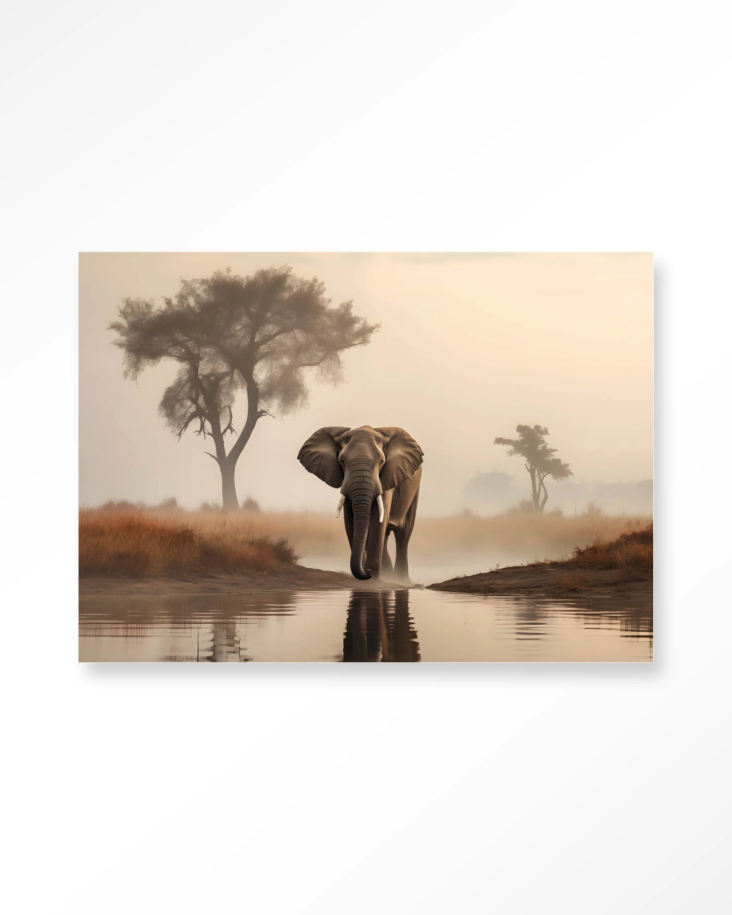 Savannah Elephant – Wandkleed