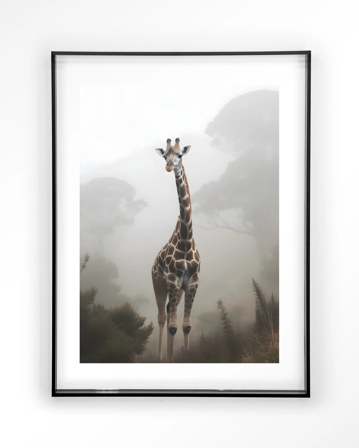 Giraffe Mist – giraf in de mist – Art print – Acryl zwart