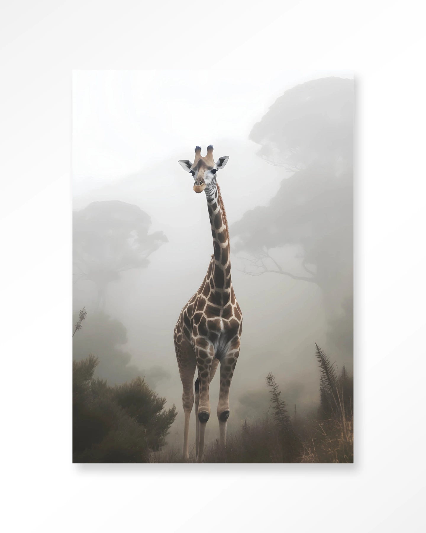 Giraffe Mist – Wandkleed