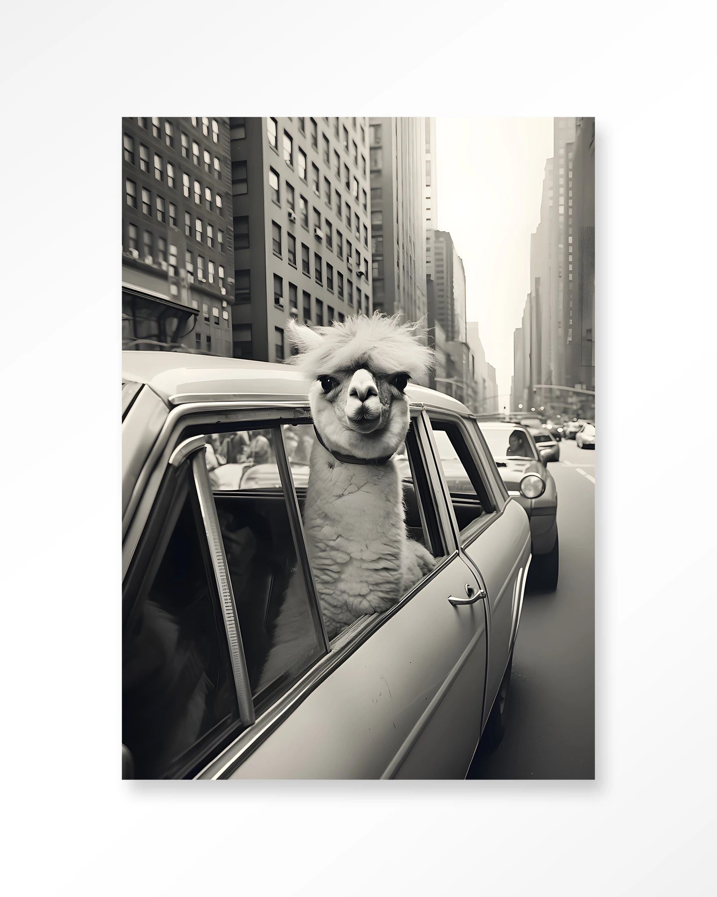 Alpaca In NY – Art Print