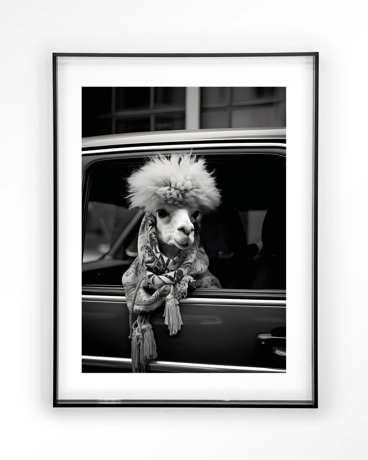 Alpaca In Taxi – alpaca in auto, zwart-wit – Art print – Acryl zwart