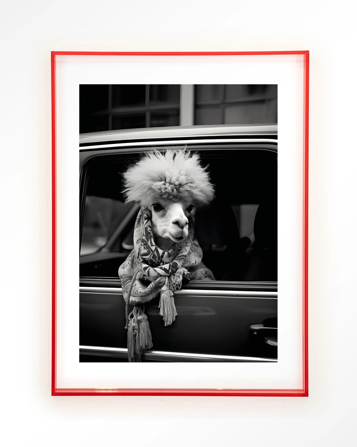 Alpaca In Taxi – alpaca in auto, zwart-wit – Art print – Acryl roze