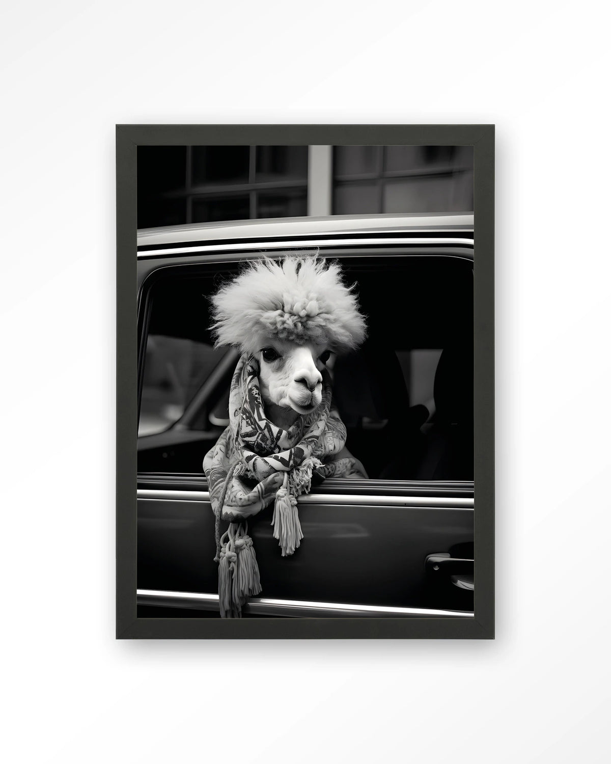 Alpaca In Taxi – alpaca in auto, zwart-wit – Art print – Hout zwart