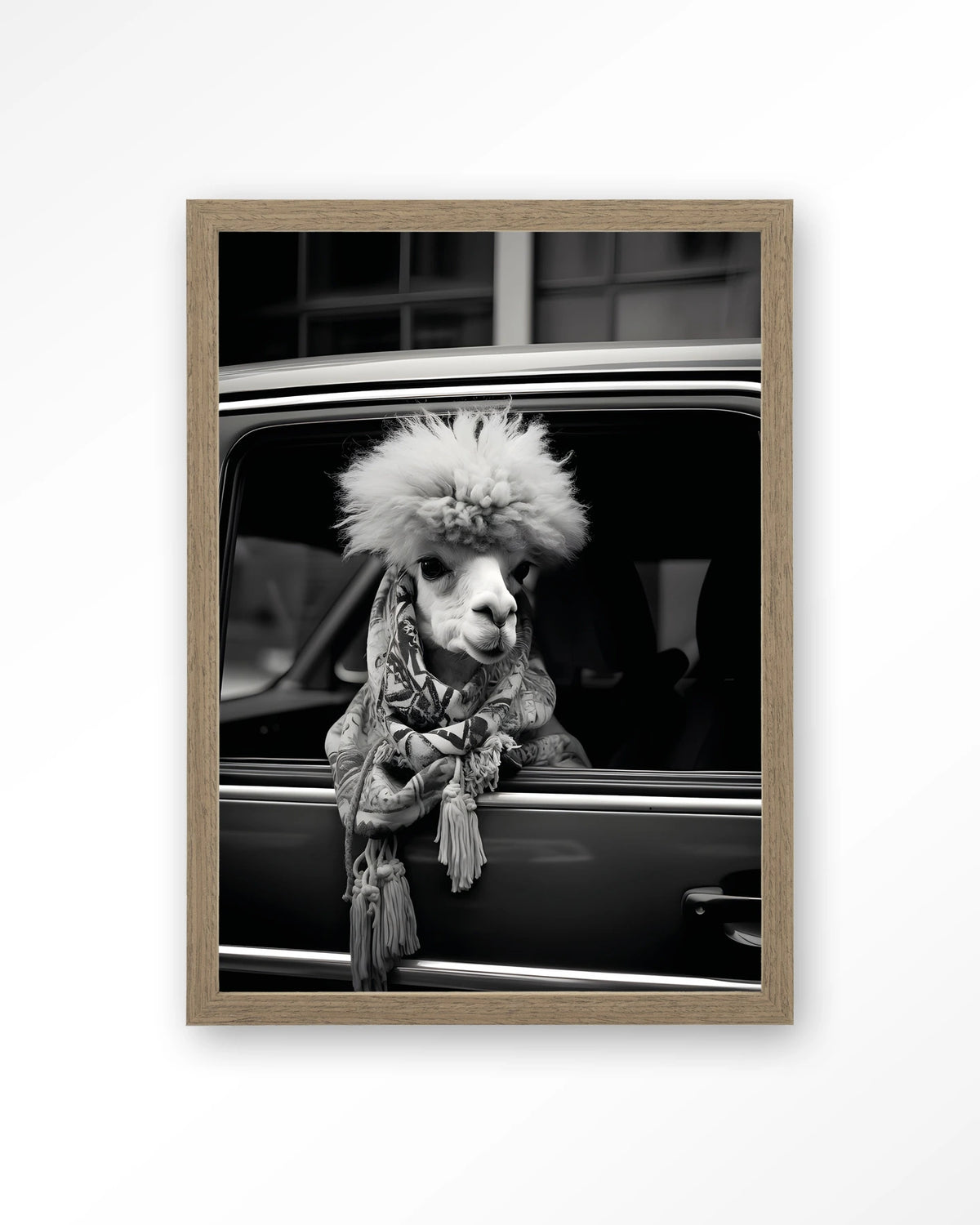 Alpaca In Taxi – alpaca in auto, zwart-wit – Art print – Hout bruin