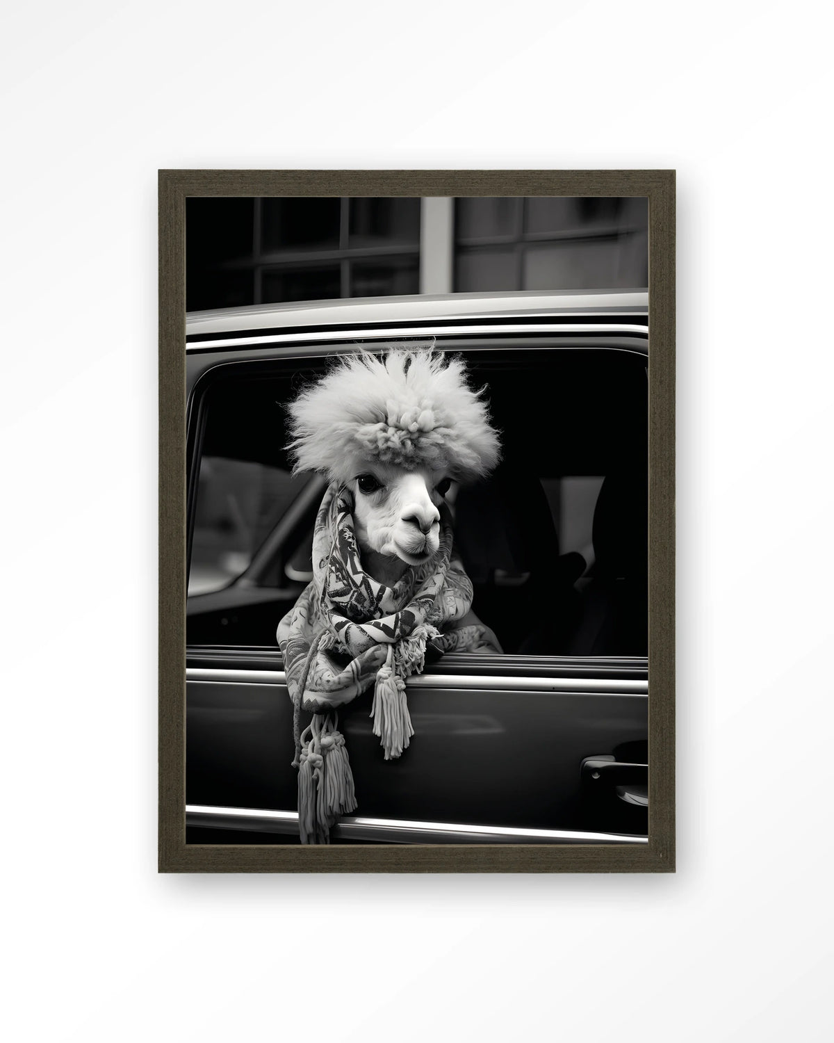 Alpaca In Taxi – alpaca in auto, zwart-wit – Art print – Hout donkerbruin