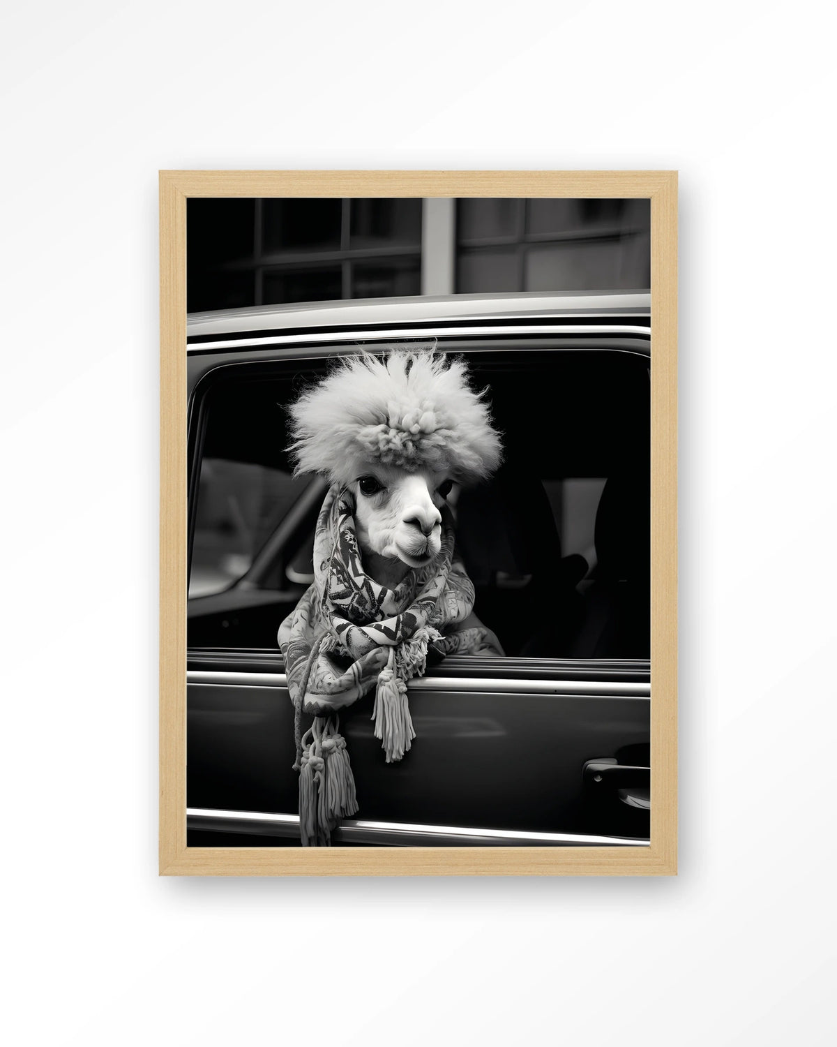Alpaca In Taxi – alpaca in auto, zwart-wit – Art print – Hout naturel