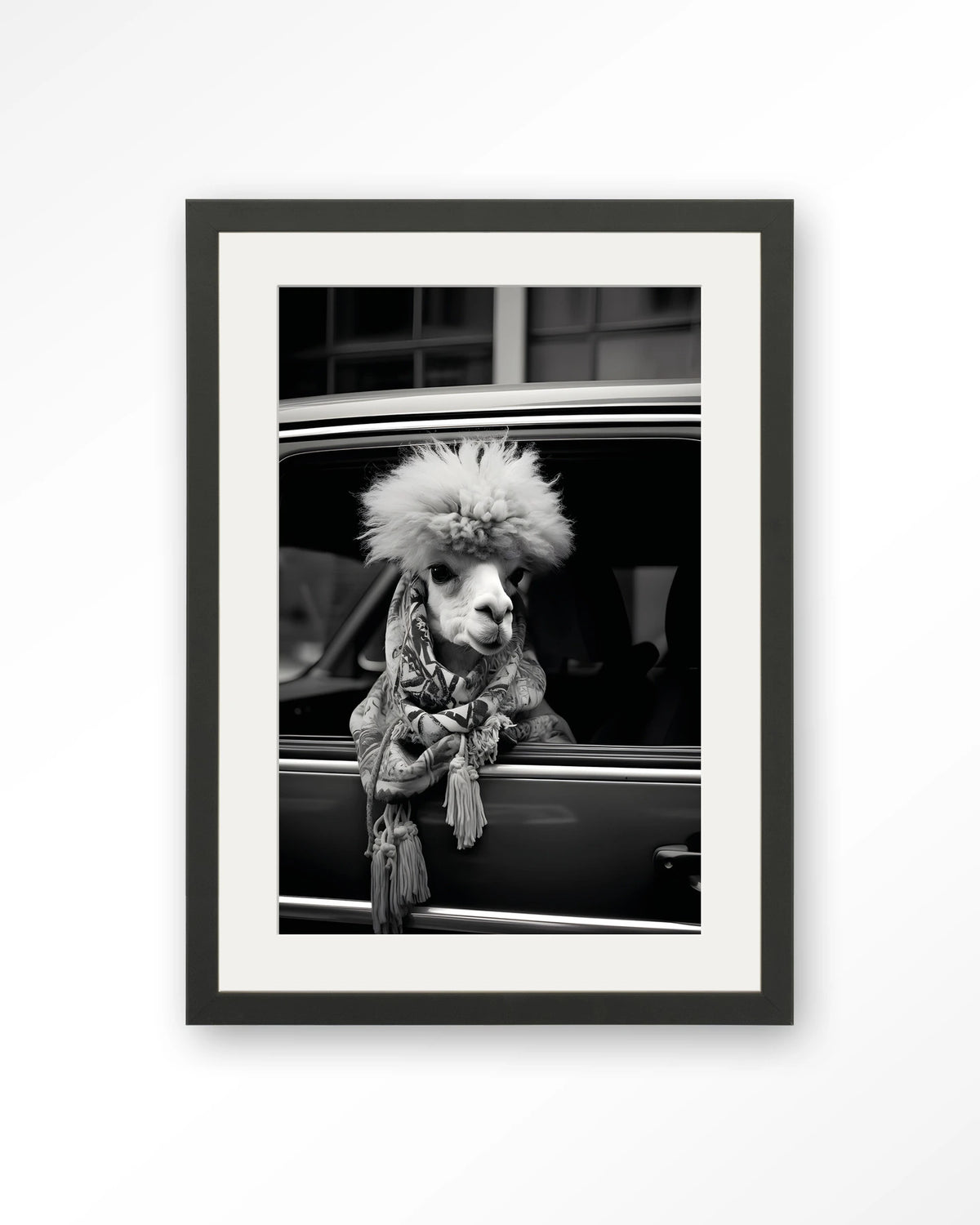 Alpaca In Taxi – alpaca in auto, zwart-wit – Art print – Hout zwart + passe-partout