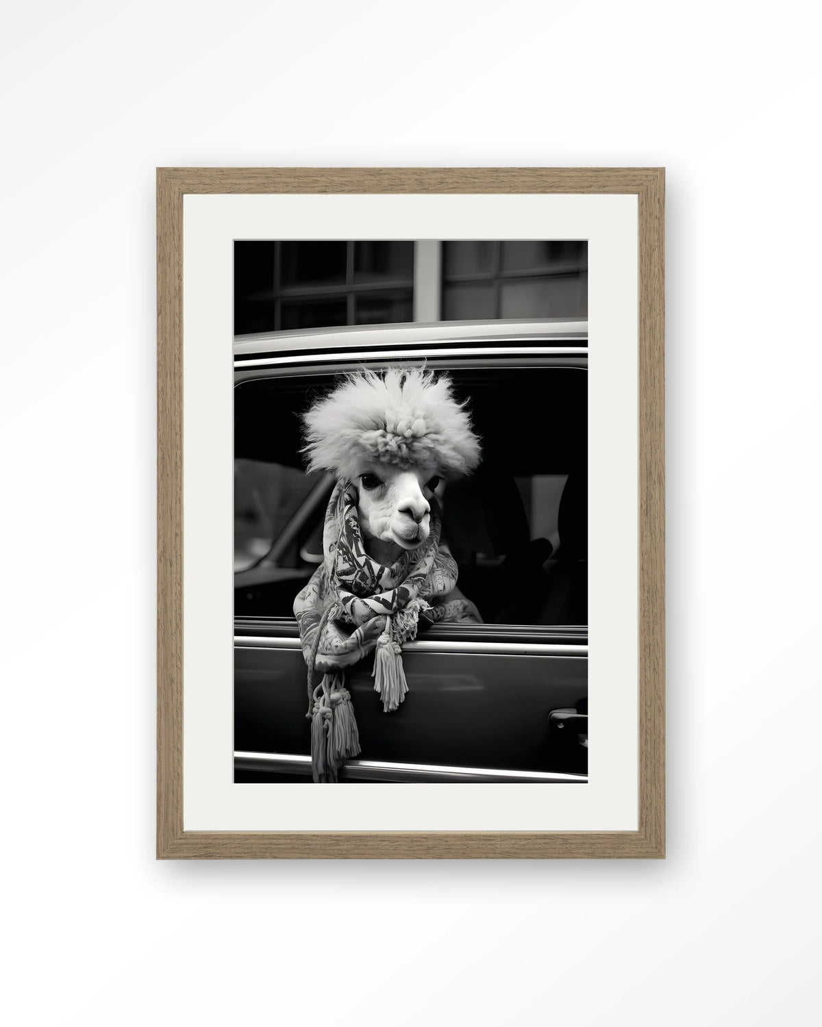 Alpaca In Taxi – alpaca in auto, zwart-wit – Art print – Hout bruin + passe-partout