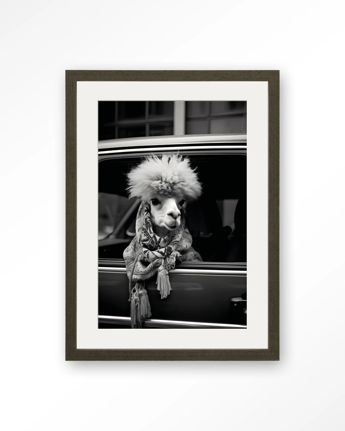 Alpaca In Taxi – alpaca in auto, zwart-wit – Art print – Hout donkerbruin + passe-partout