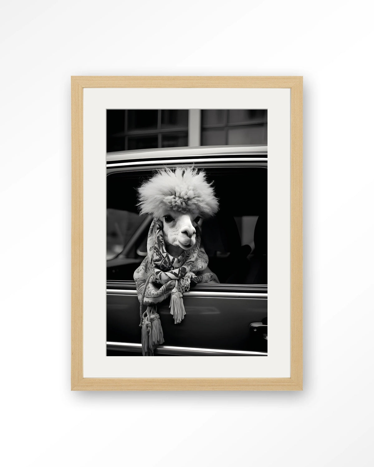 Alpaca In Taxi – alpaca in auto, zwart-wit – Art print – Hout naturel + passe-partout