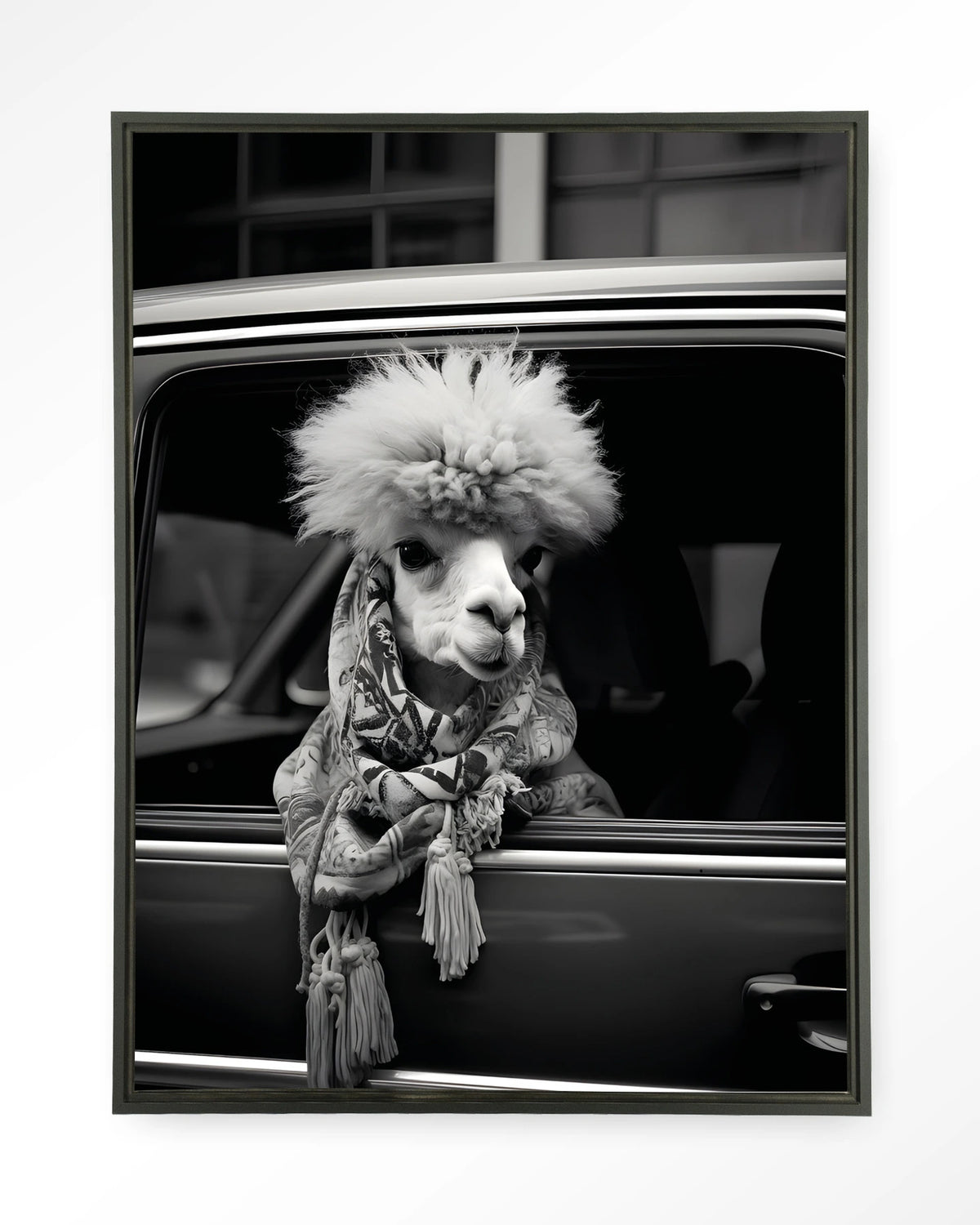 Alpaca In Taxi – alpaca in auto, zwart-wit – Wandkleed – Floating frame – zwart