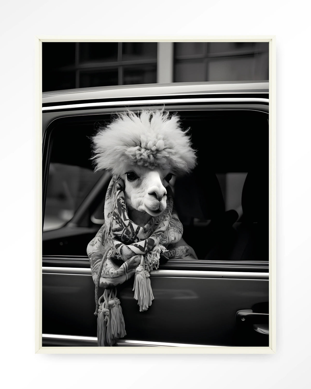 Alpaca In Taxi – alpaca in auto, zwart-wit – Wandkleed – Floating frame – wit