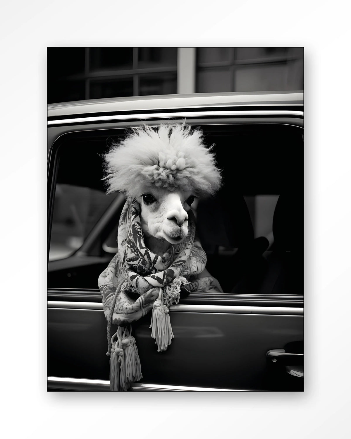 Alpaca In Taxi – alpaca in auto, zwart-wit – Wandkleed – Frame – zwart