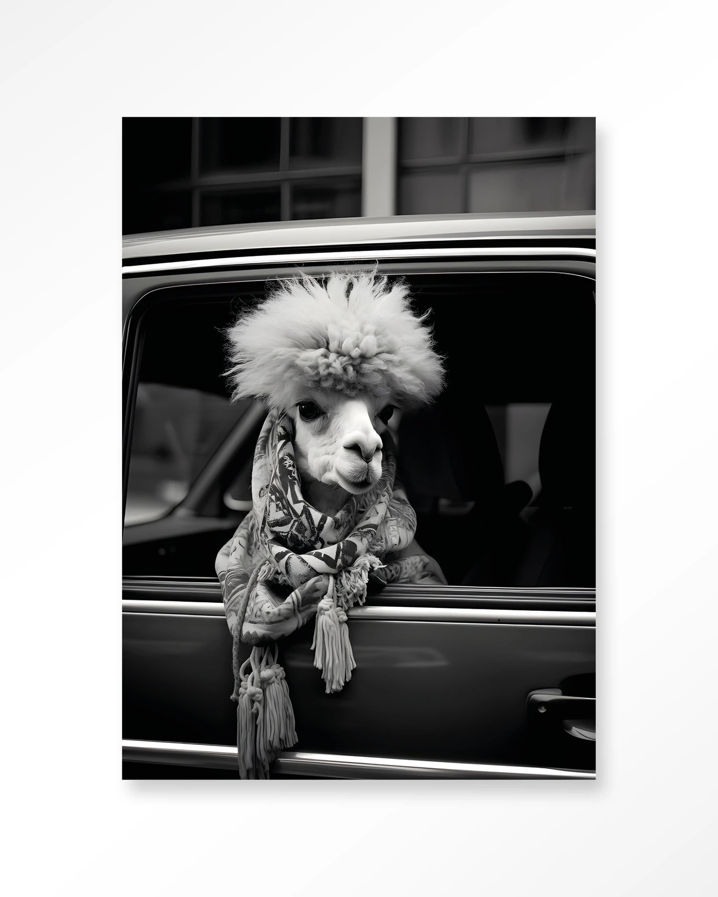 Alpaca In Taxi – Wandkleed