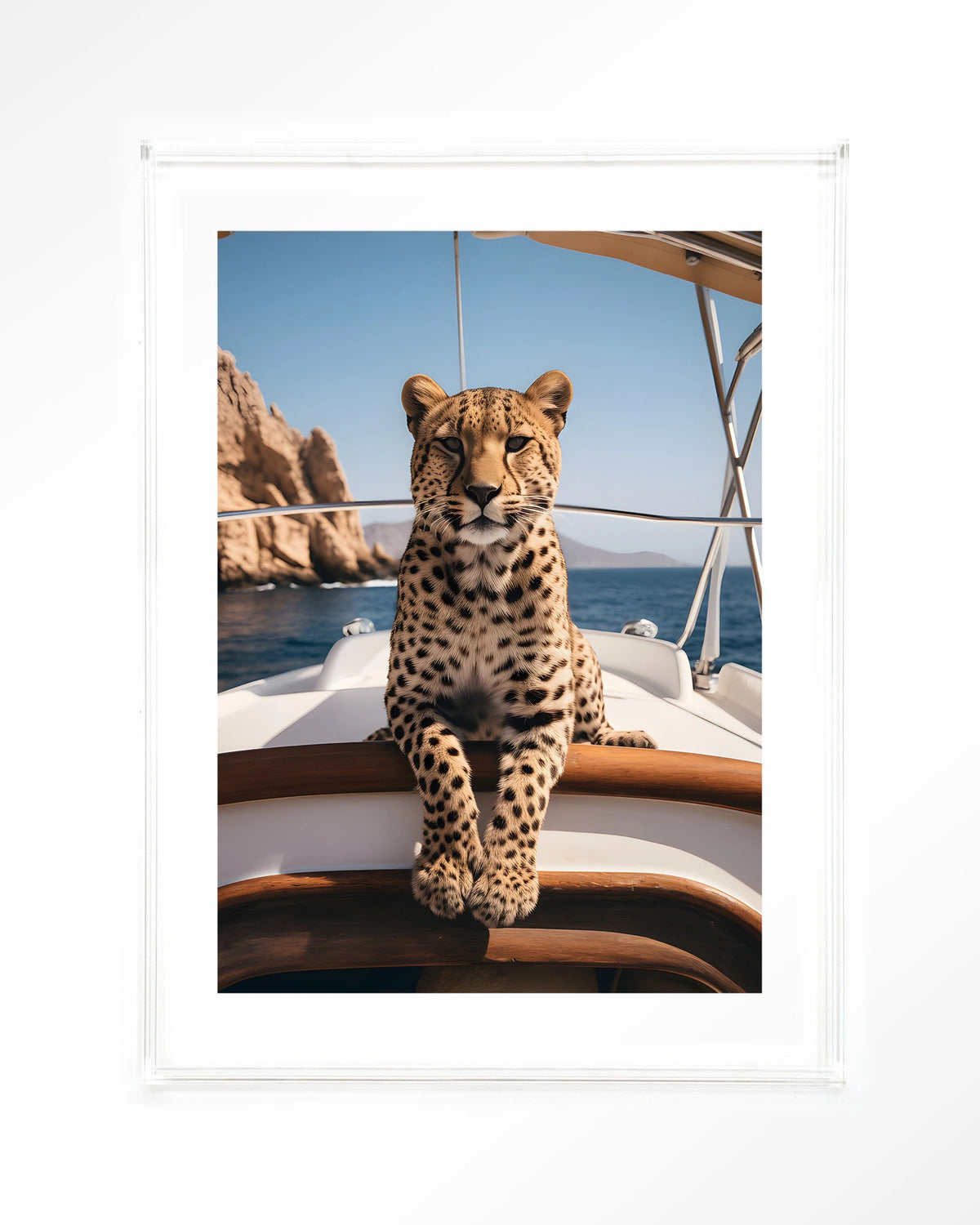 Sailboat Cheetah – cheeta op zeilboot – Art print – Acryl doorzichtig