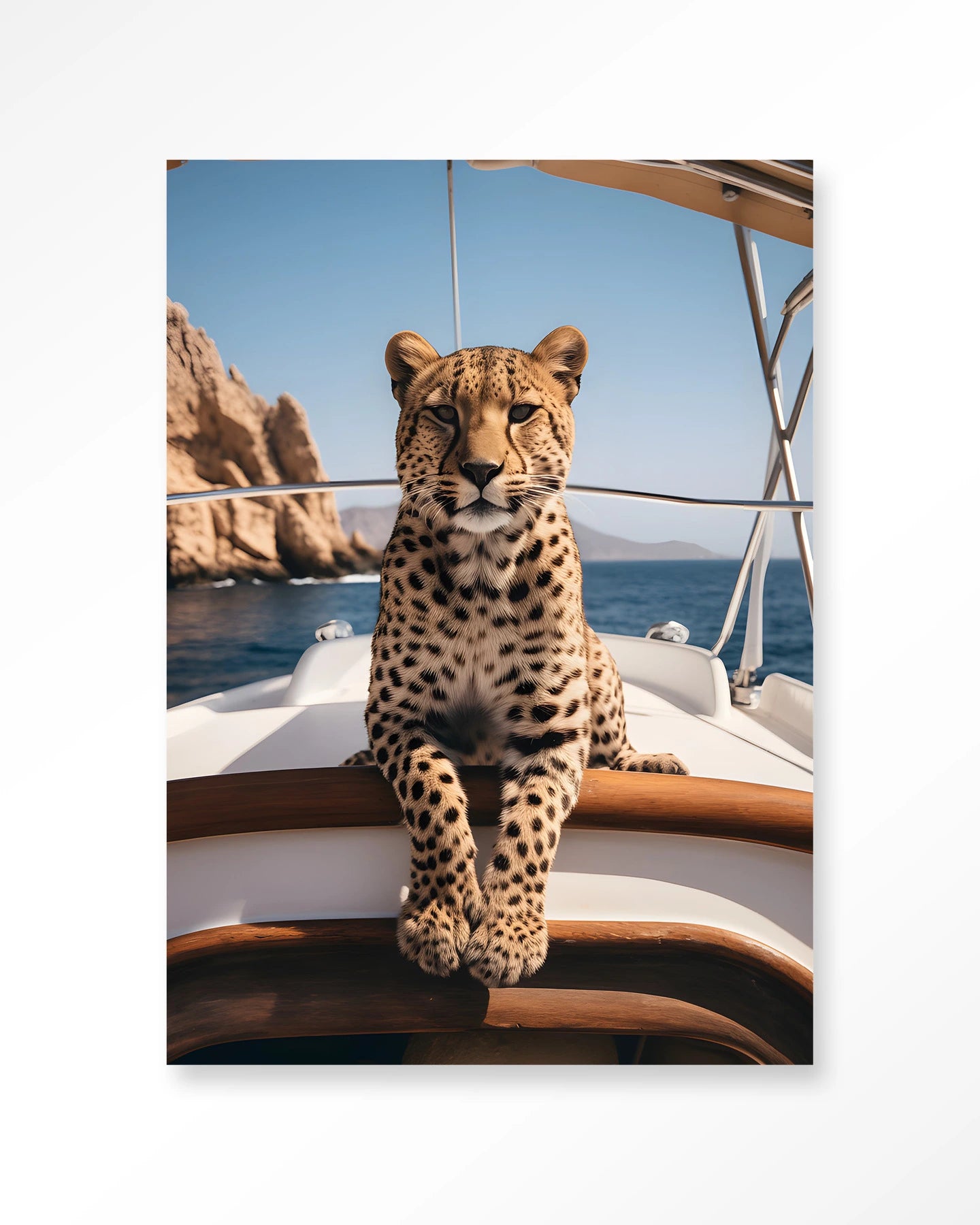 Sailboat Cheetah – Wandkleed