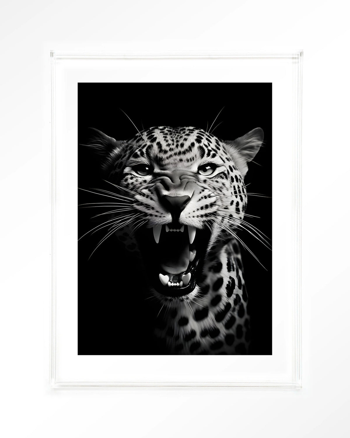 Rawr Cheetah – brullende luipaard in zwart-wit – Art print – Acryl doorzichtig