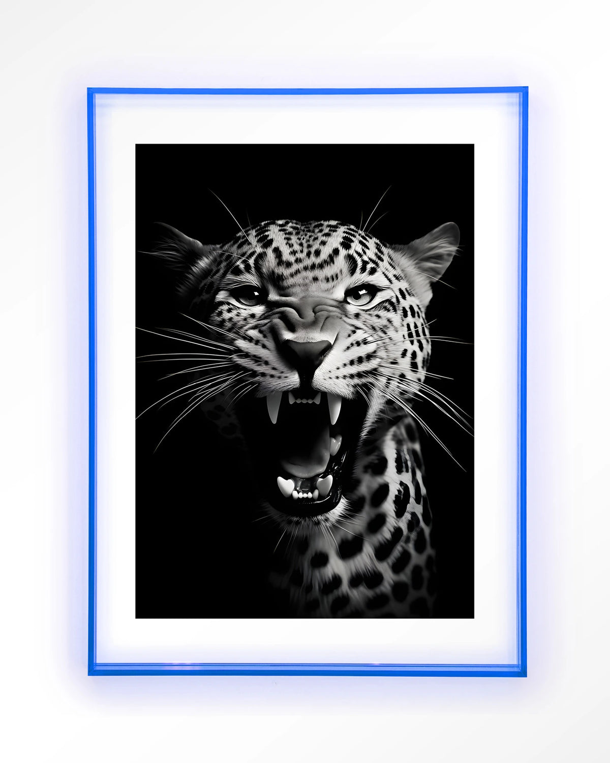 Rawr Cheetah – brullende luipaard in zwart-wit – Art print – Acryl lichtblauw
