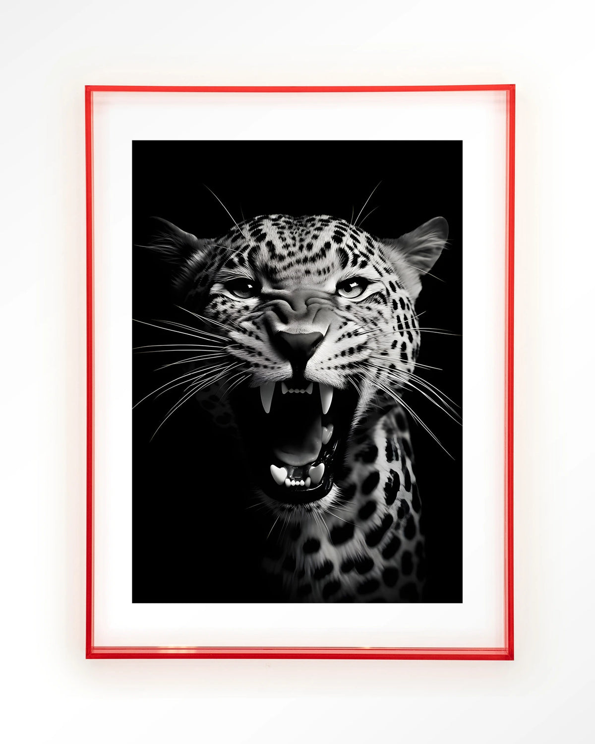 Rawr Cheetah – brullende luipaard in zwart-wit – Art print – Acryl roze