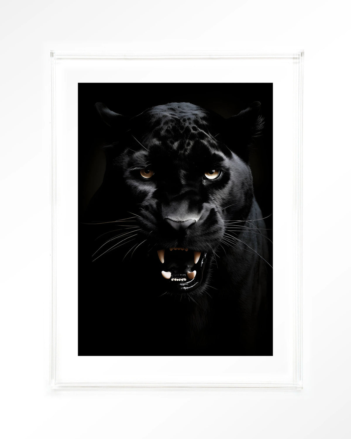 Rawr Panther – zwarte panter – Art print – Acryl doorzichtig