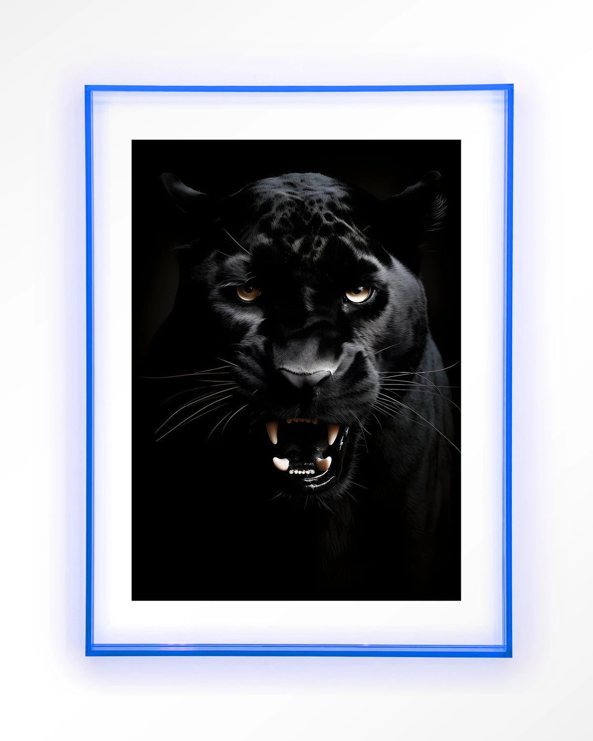 Rawr Panther – zwarte panter – Art print – Acryl lichtblauw