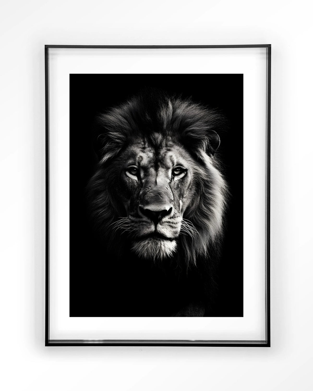 Mighty Lion – leeuw in zwart-wit – Art print – Acryl zwart