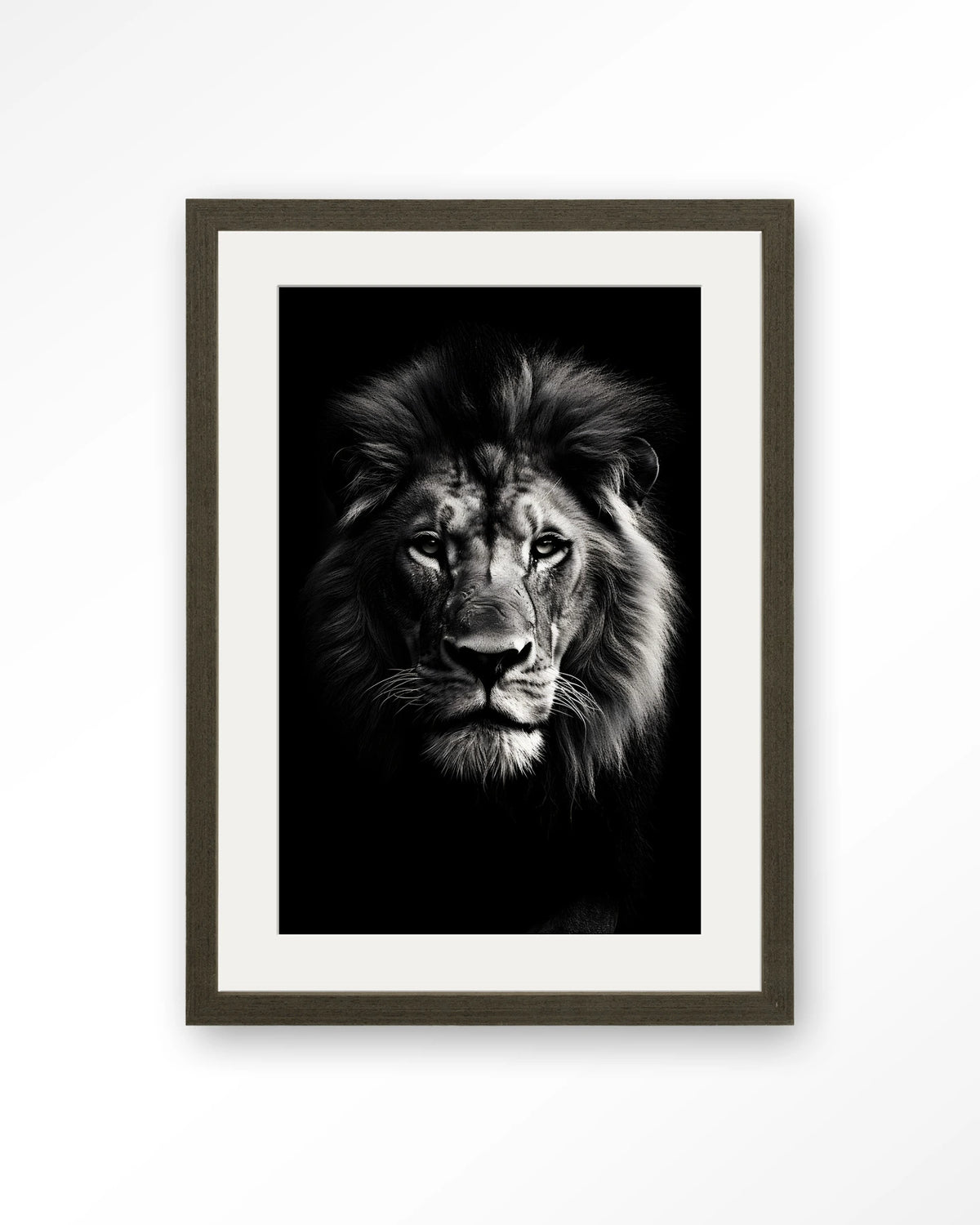 Mighty Lion – leeuw in zwart-wit – Art print – Hout donkerbruin + passe-partout