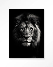Mighty Lion – Wandkleed