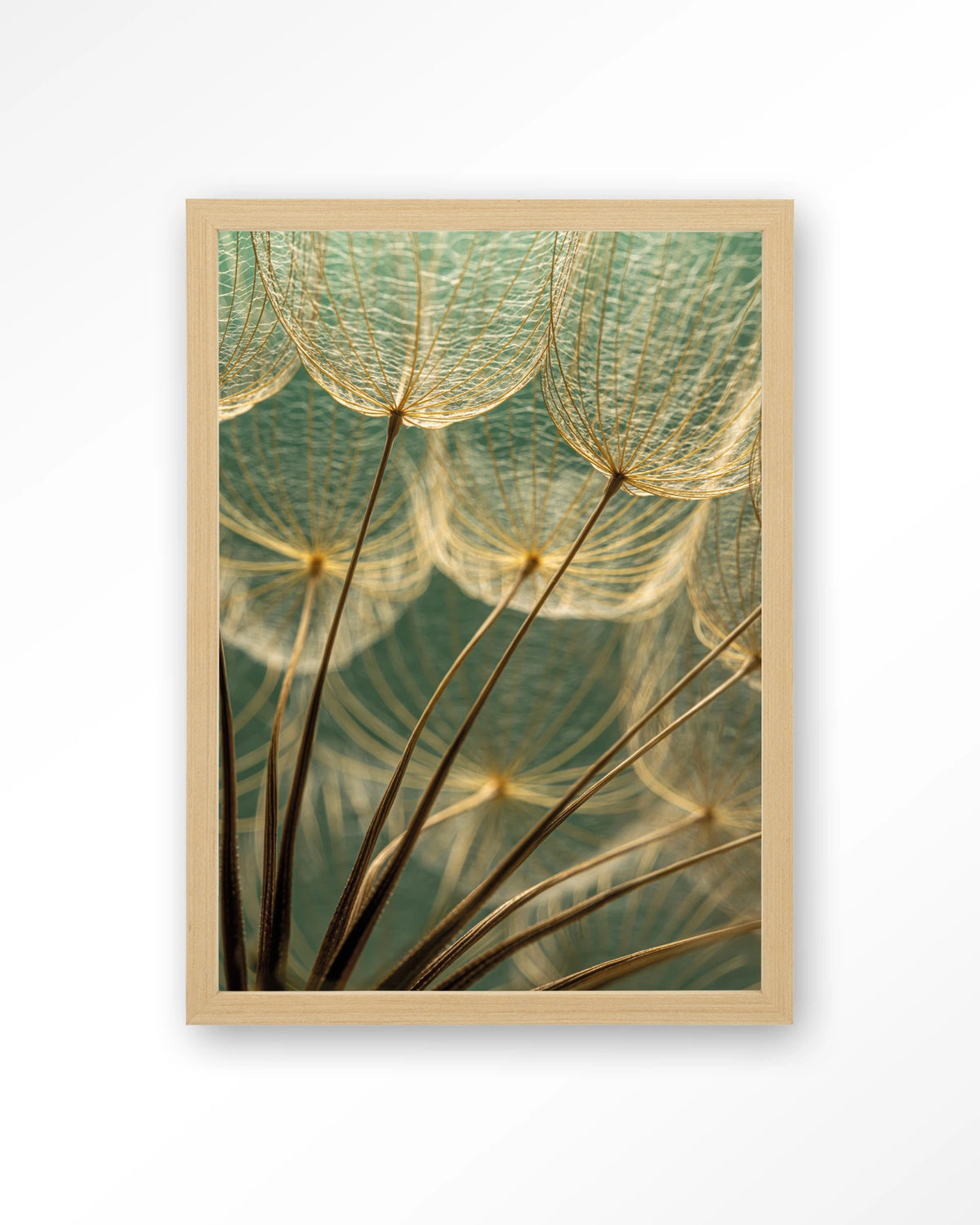 Van Abstractie Tot Detail – pluizen van paardenbloem close-up – Art print – Hout naturel