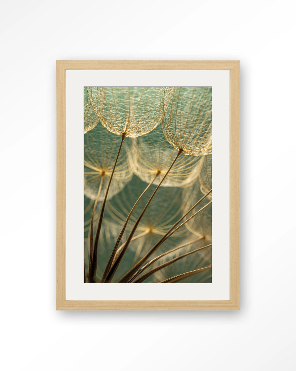 Van Abstractie Tot Detail – pluizen van paardenbloem close-up – Art print – Hout naturel + passe-partout