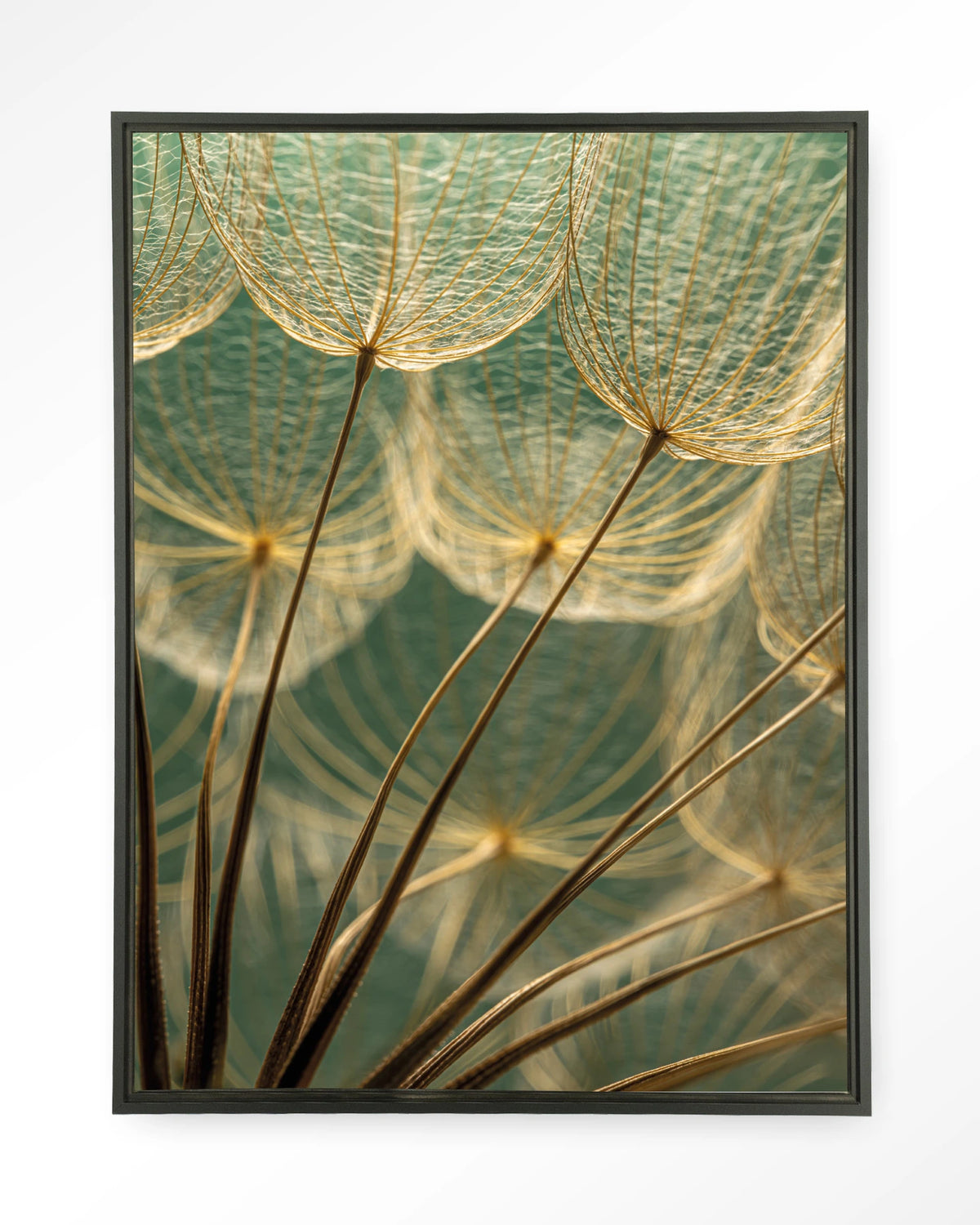 Van Abstractie Tot Detail – pluizen van paardenbloem close-up – Wandkleed – Floating frame – zwart