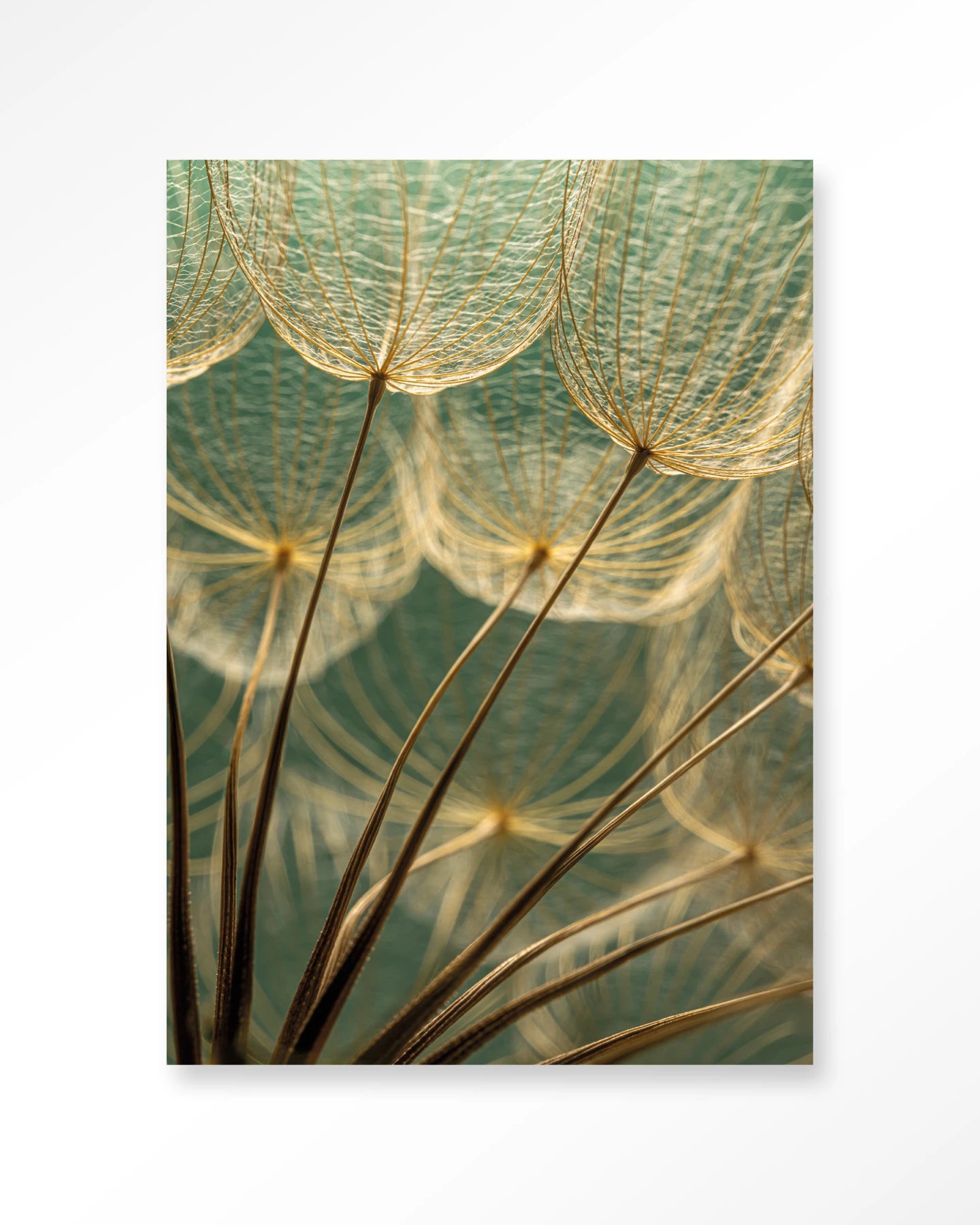 Van Abstractie Tot Detail – Wandkleed