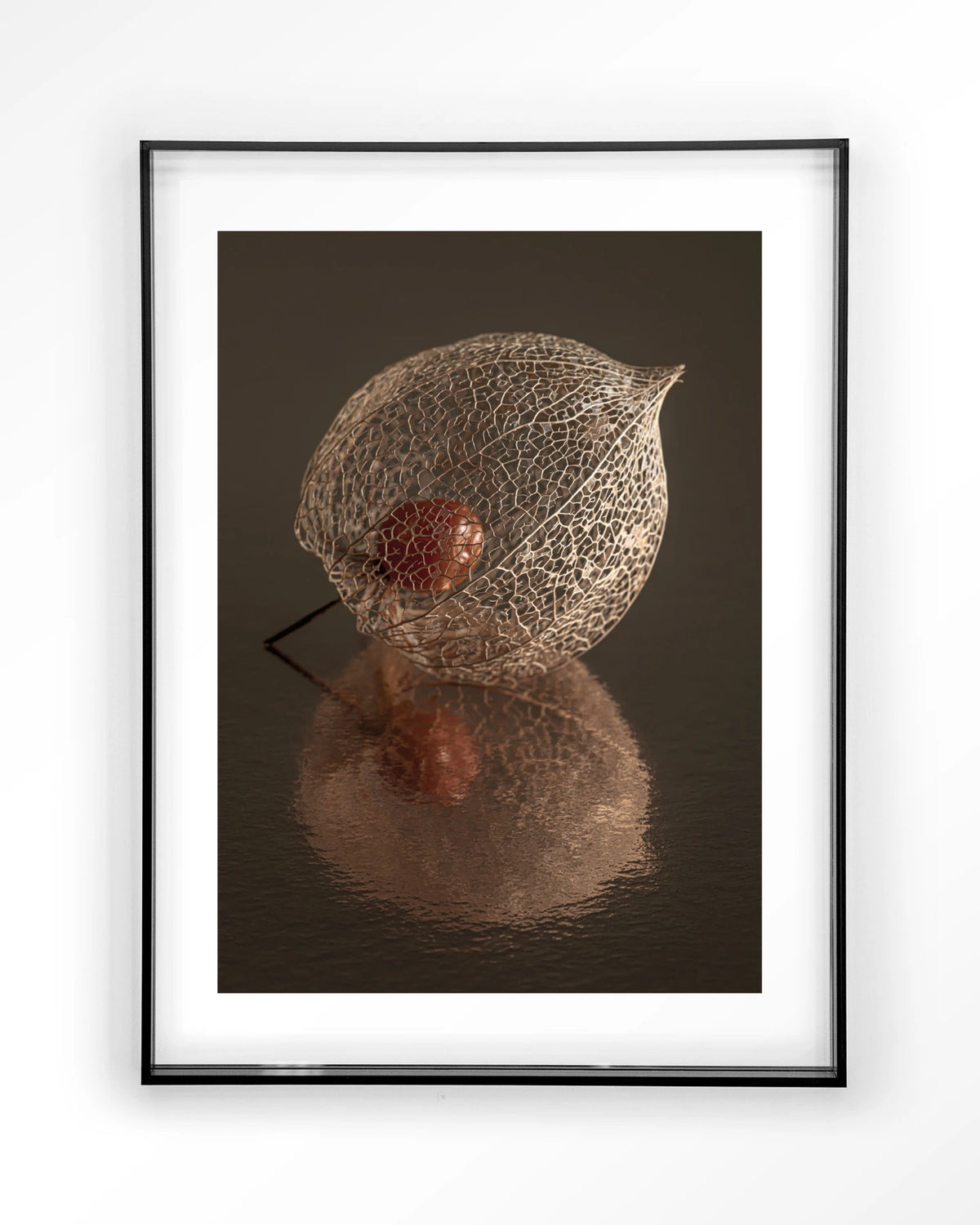 De Reflectie Van Vergankelijkheid In Bruintinten – lampionplant in bruintinten – Art print – Acryl zwart