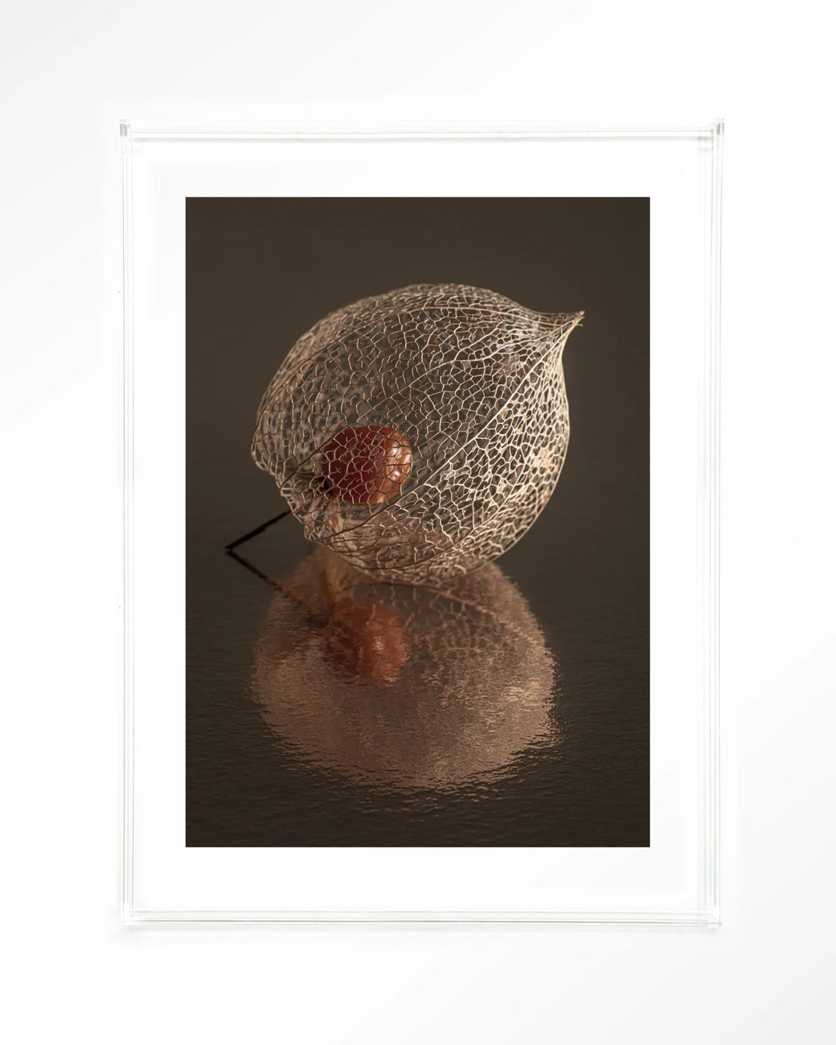 De Reflectie Van Vergankelijkheid In Bruintinten – lampionplant in bruintinten – Art print – Acryl doorzichtig