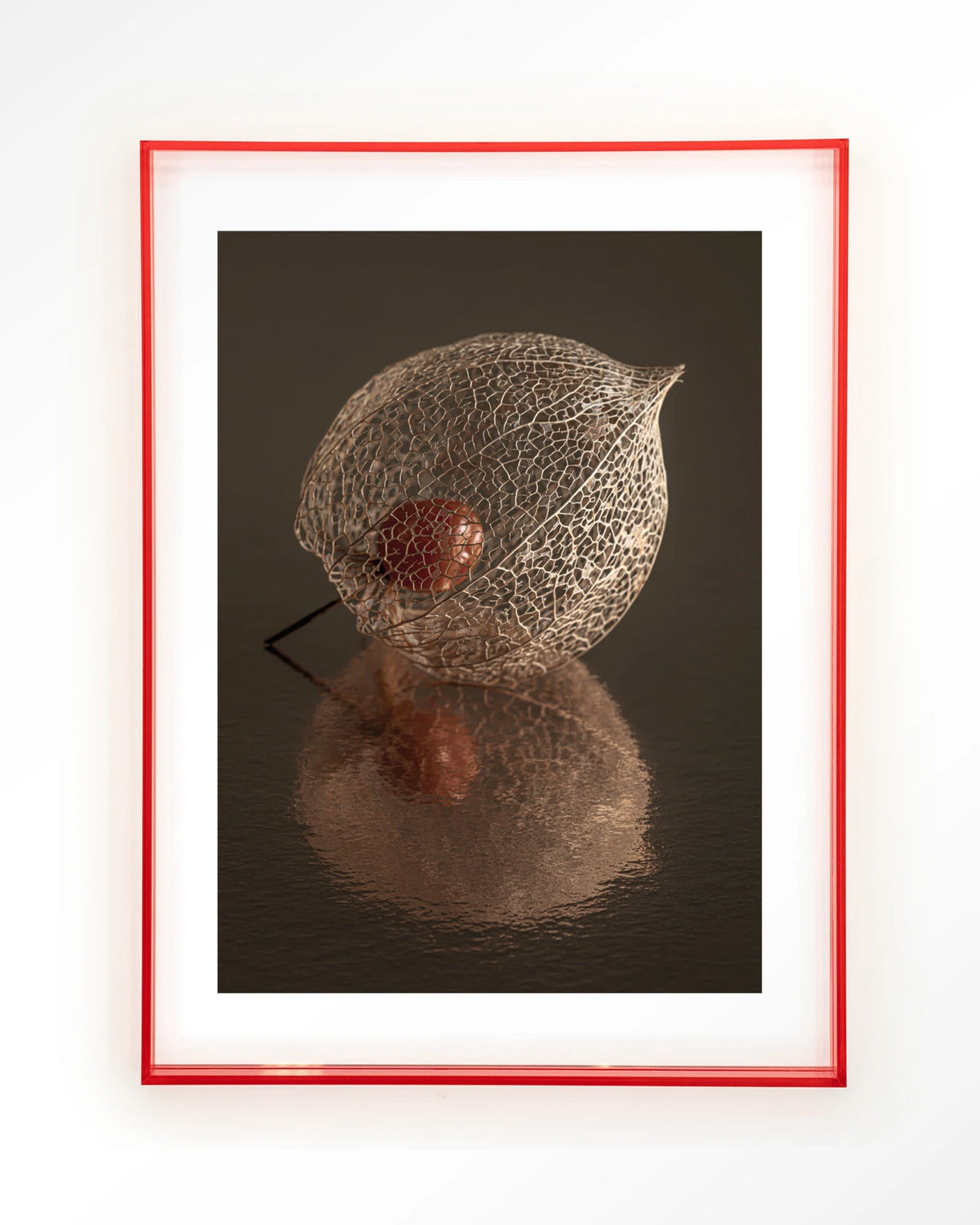 De Reflectie Van Vergankelijkheid In Bruintinten – lampionplant in bruintinten – Art print – Acryl roze