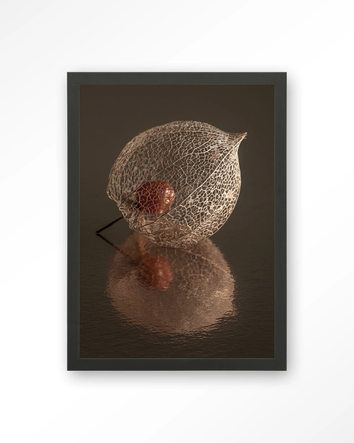 De Reflectie Van Vergankelijkheid In Bruintinten – lampionplant in bruintinten – Art print – Hout zwart