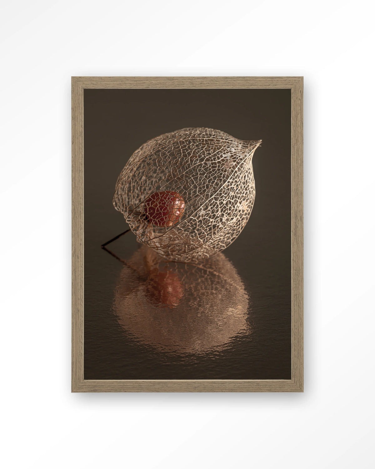 De Reflectie Van Vergankelijkheid In Bruintinten – lampionplant in bruintinten – Art print – Hout bruin