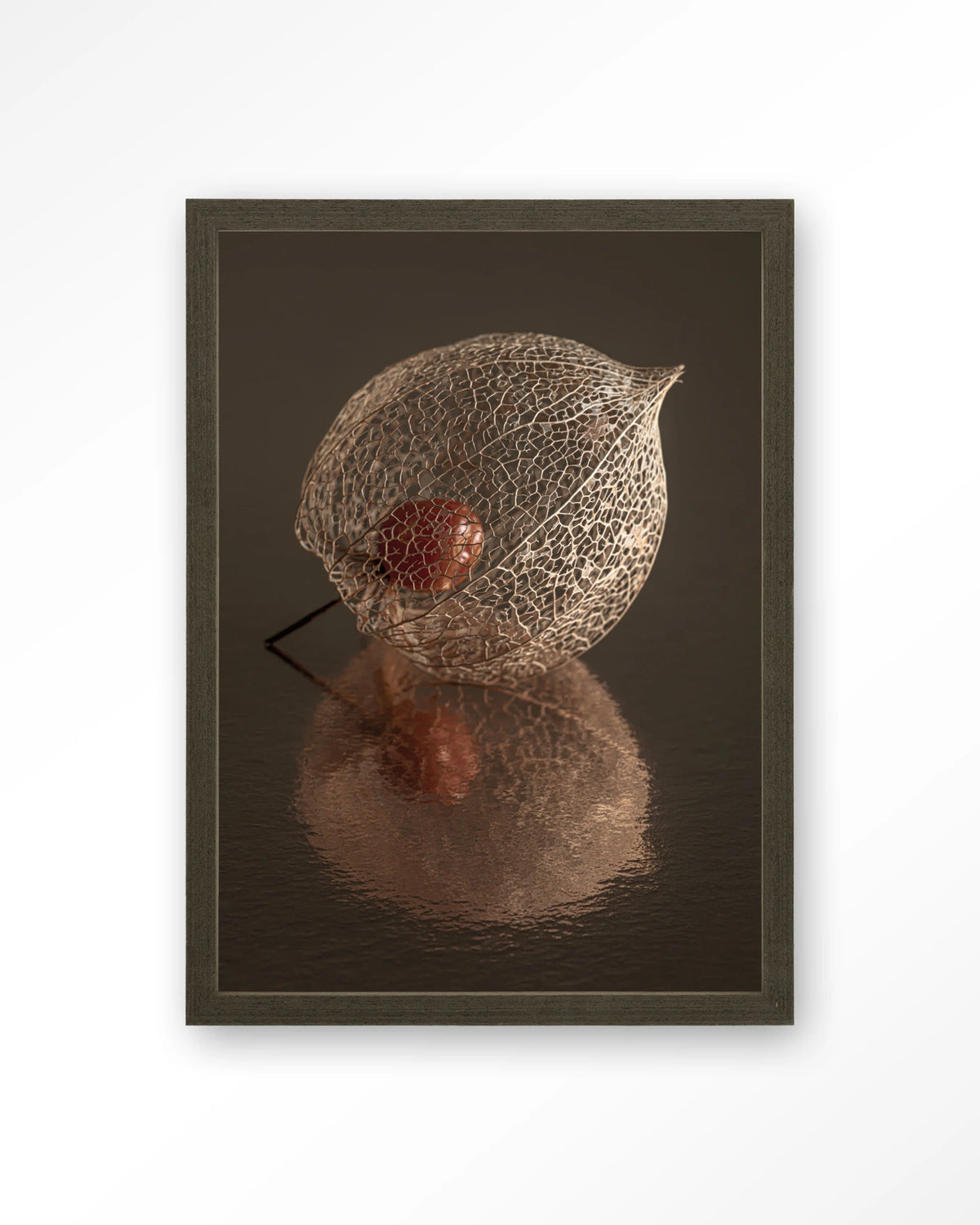 De Reflectie Van Vergankelijkheid In Bruintinten – lampionplant in bruintinten – Art print – Hout donkerbruin