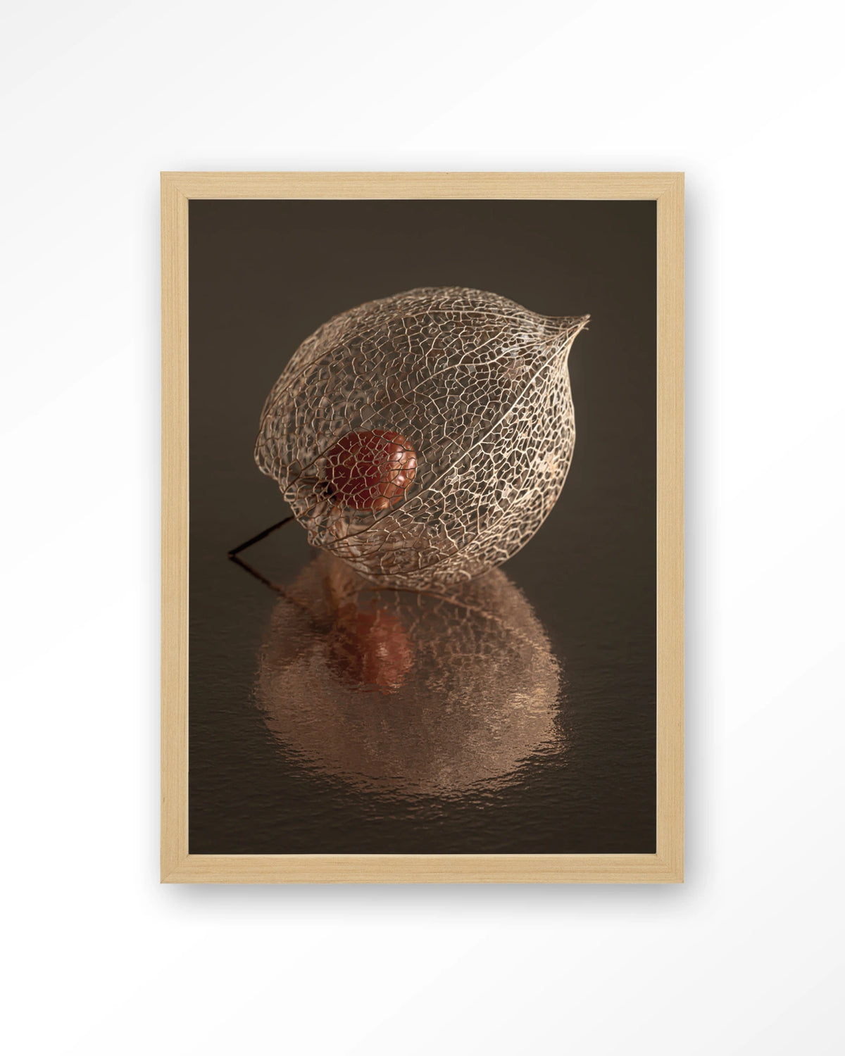 De Reflectie Van Vergankelijkheid In Bruintinten – lampionplant in bruintinten – Art print – Hout naturel